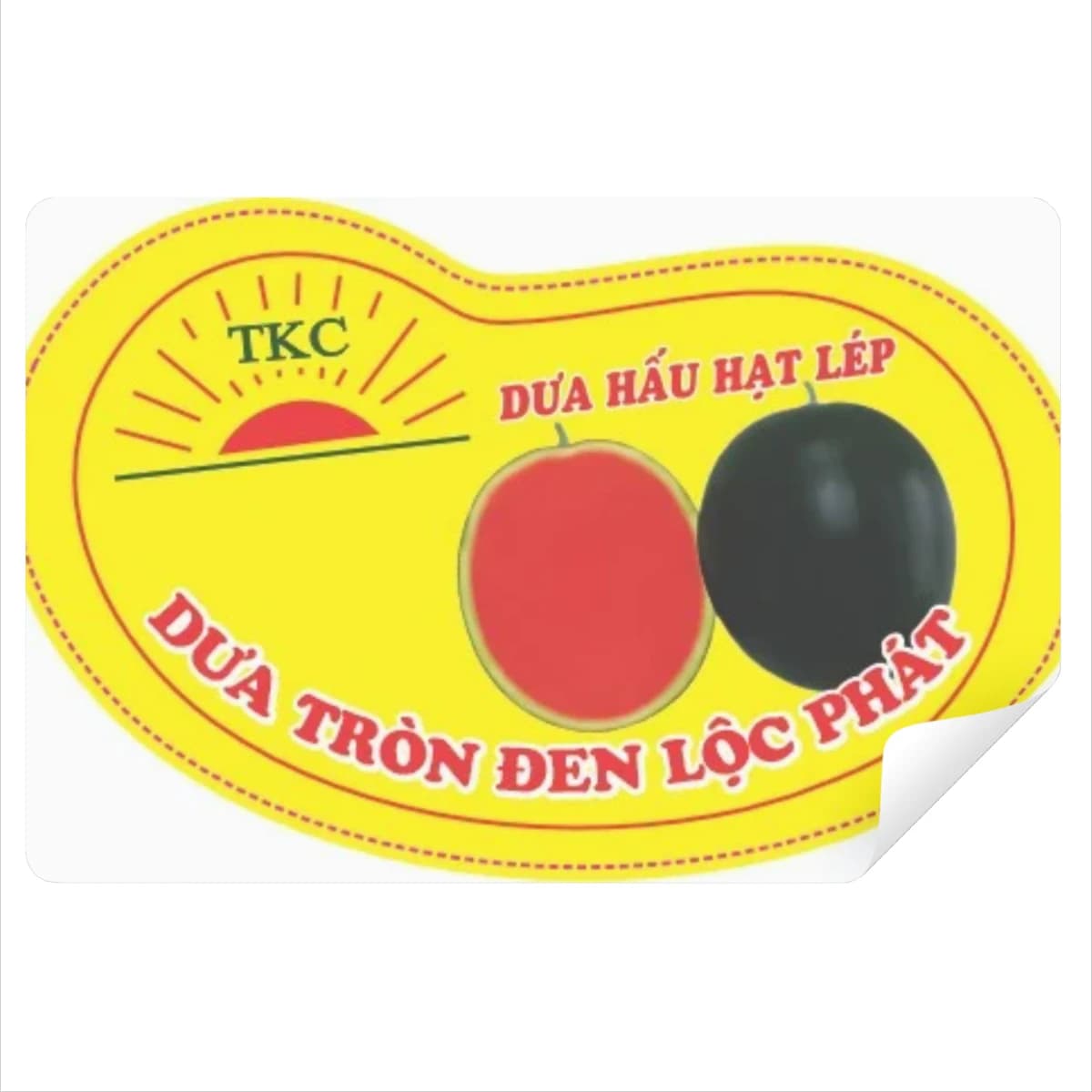 Tem19
